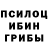 Галлюциногенные грибы MAGIC MUSHROOMS Hjyt Wrxnlc