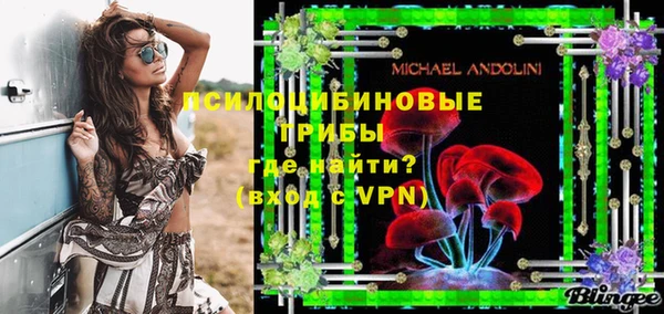 гашик Медвежьегорск