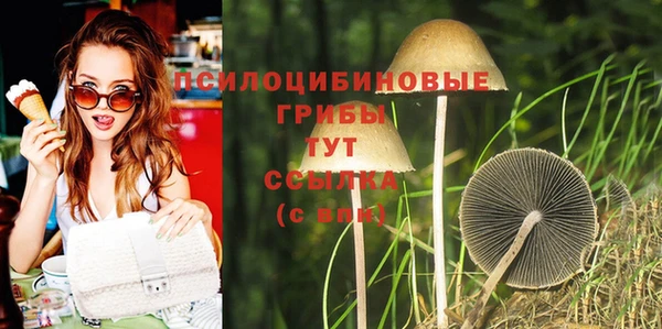 гашик Медвежьегорск