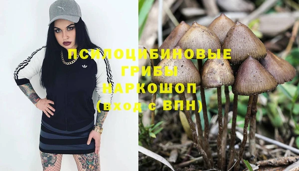 гашишное масло Мегион