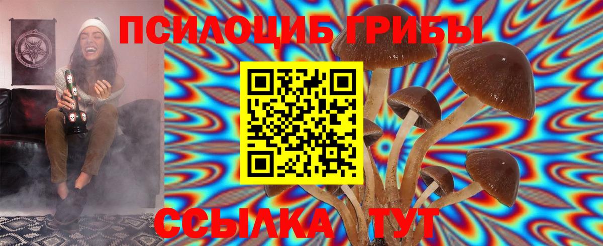 Галлюциногенные грибы Psilocybe Чайковский